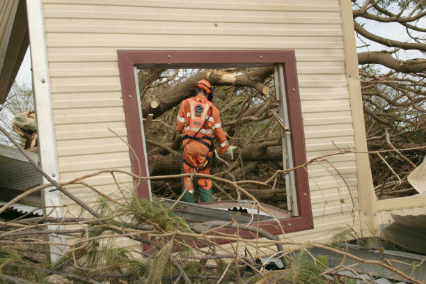 How Our Tree Care Process Works  in  Kirkland, WA